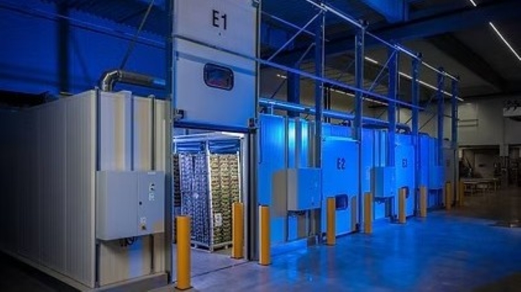 Interko acelera la digitalización en la maduración de frutas.jpg